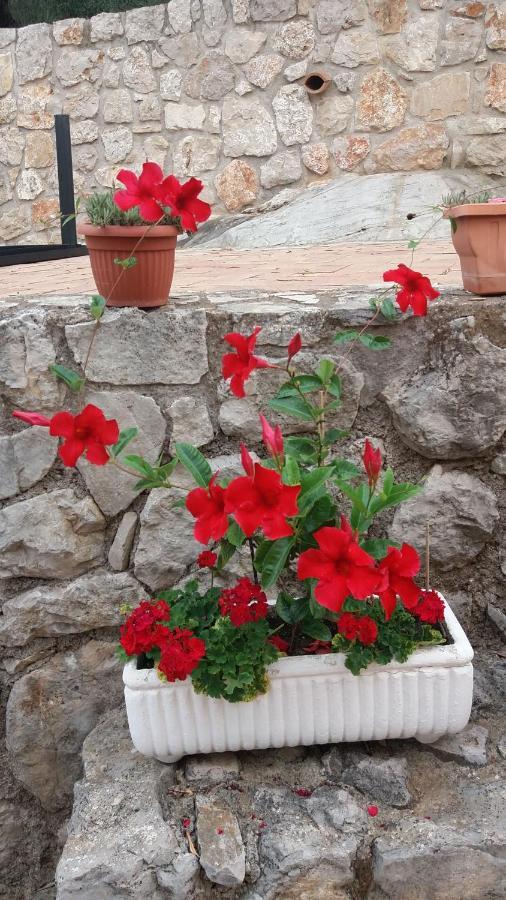 Appartamento In Collina Fondi Exterior foto